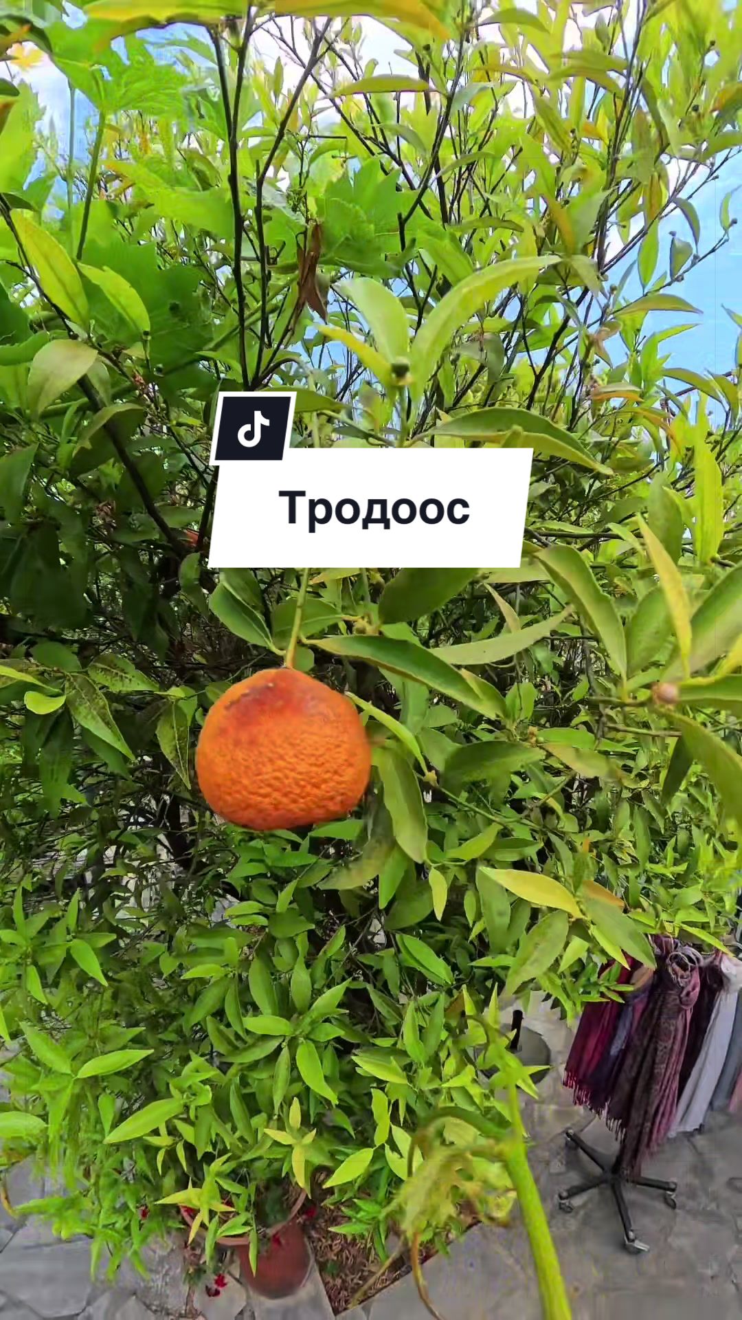 @Мамка і булка💕