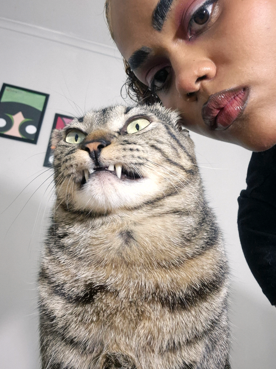 @Mushu