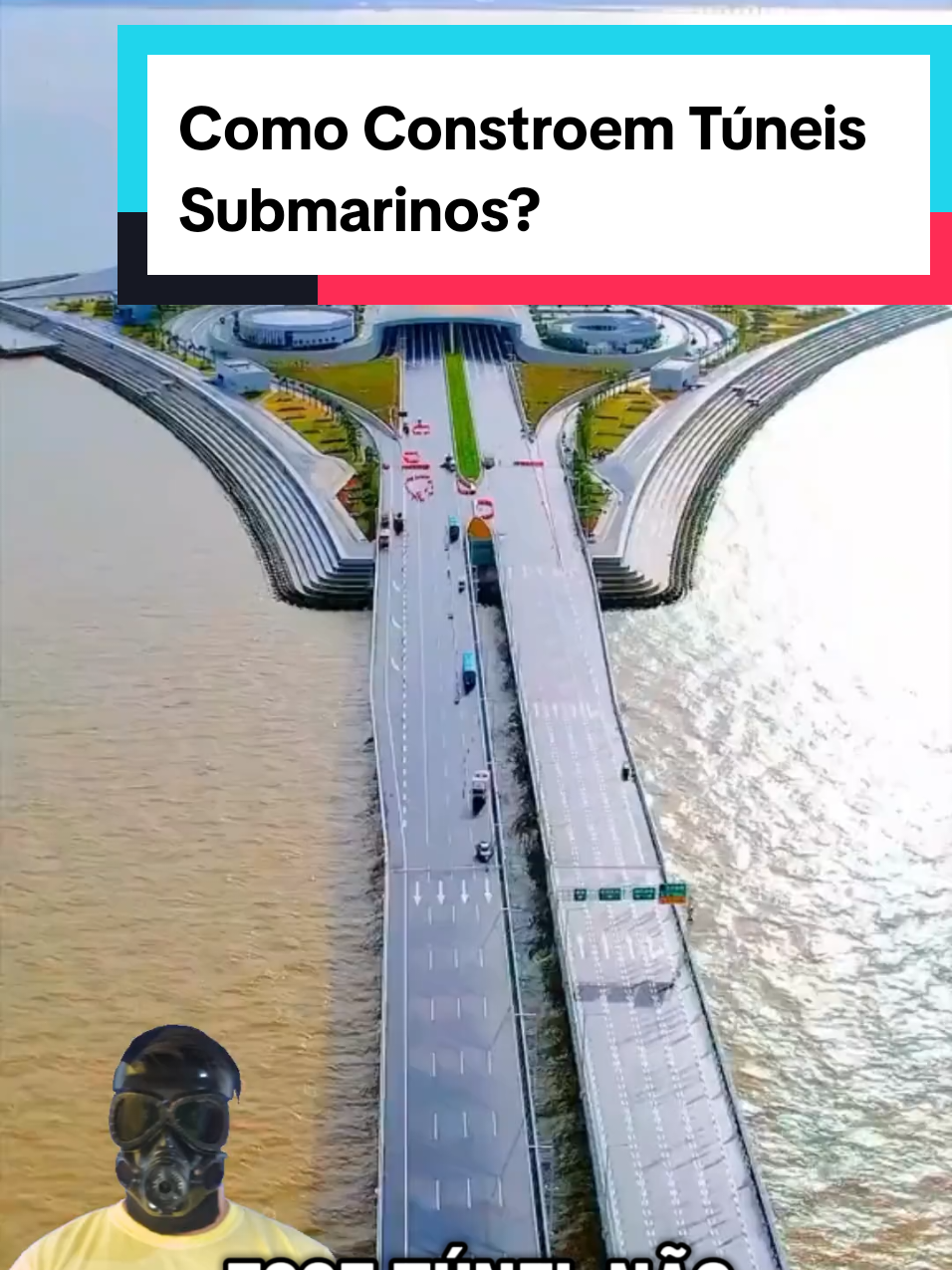 @Mundo da Curiosidades