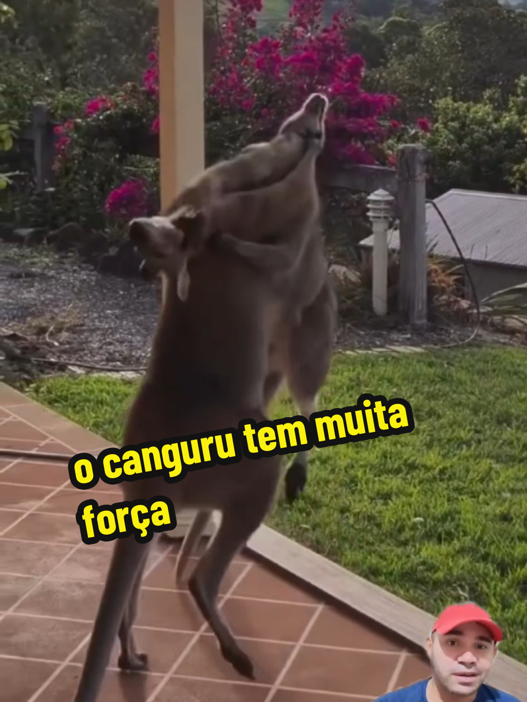 @GOROROBA 2026
