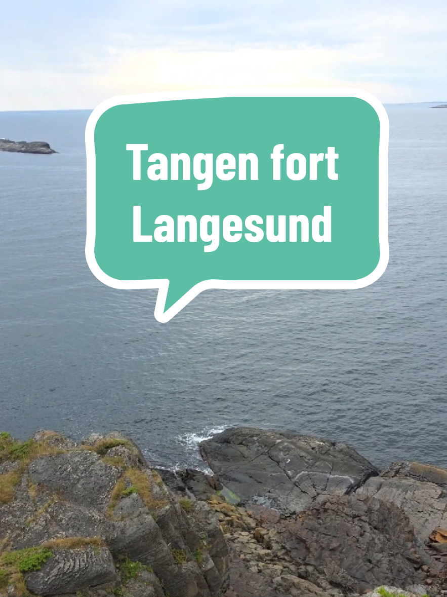 @&copy;️ ₸ҤE ₦&Oslash;Ʀ$ƙ ₩&lambda;&yen; 🇳🇴