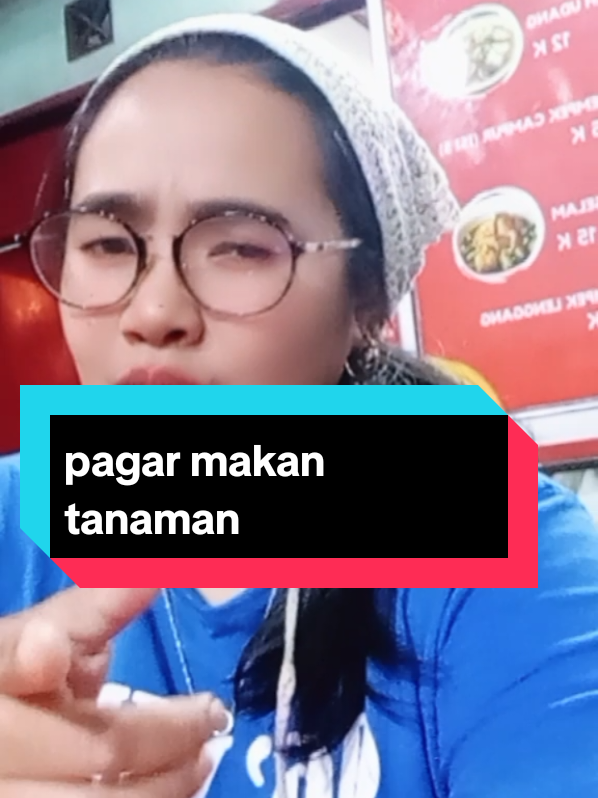 @ikca_mangurai