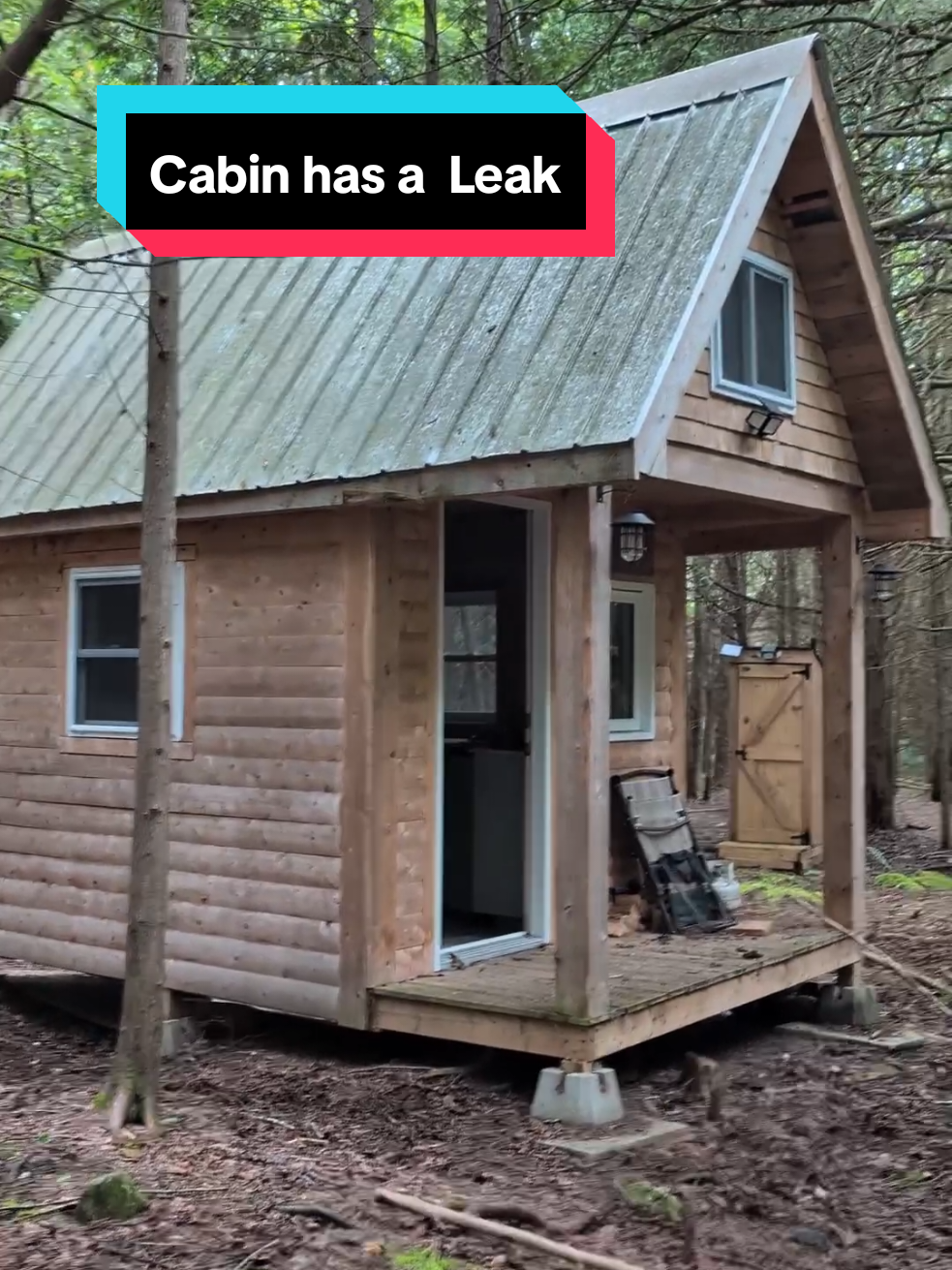 @Modern Homestead