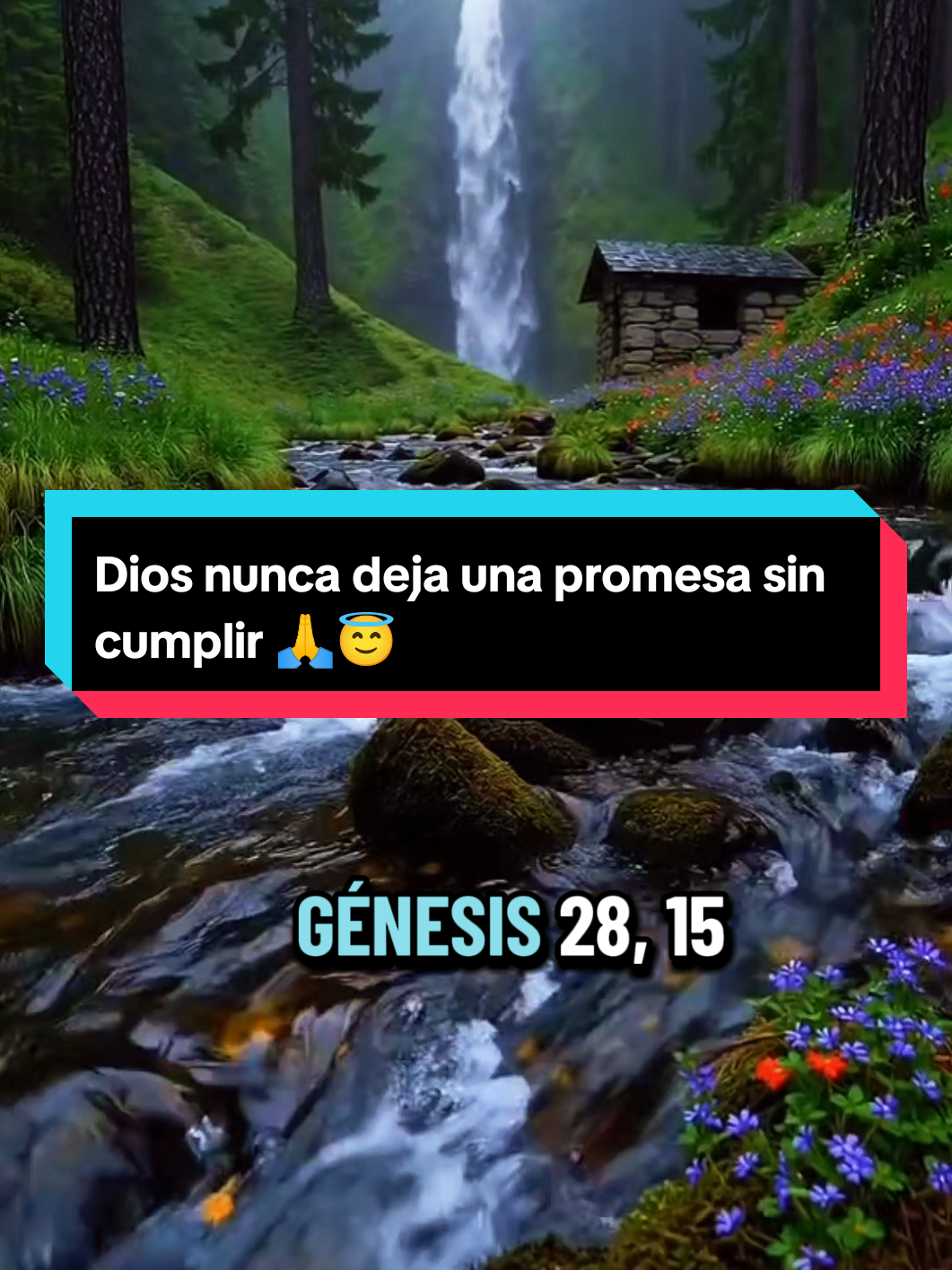@@Teo Rodriguez