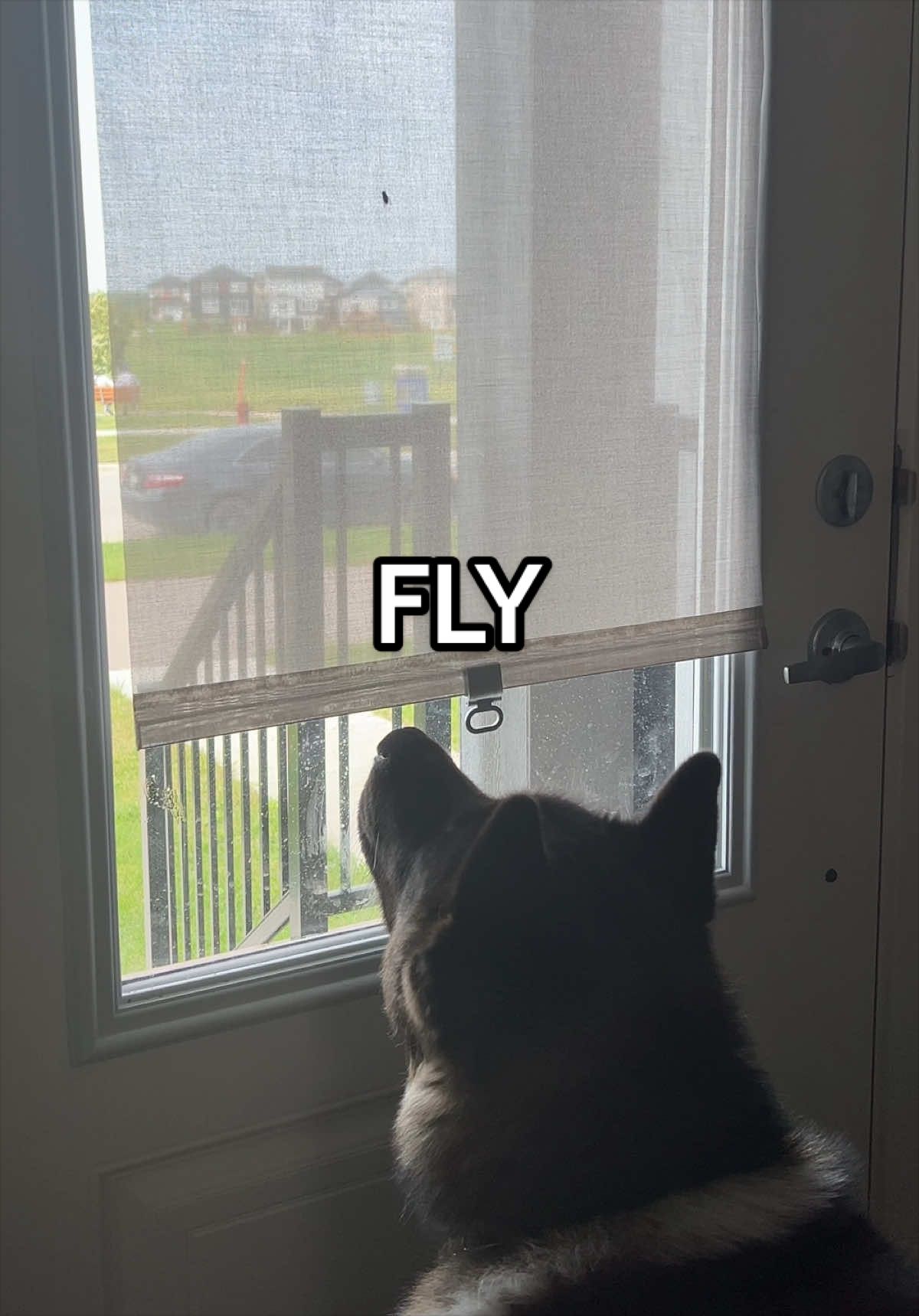 @tiara + winnie