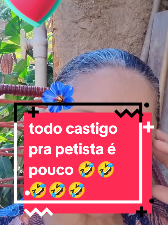 @Sulamita Bolsonaro 🇧🇷🇧🇷