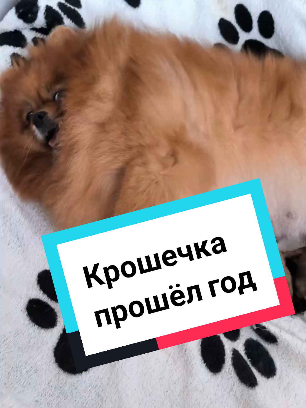 @Veronika Tkachuk