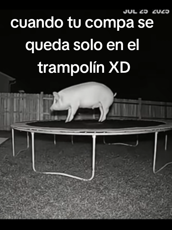 @Abzy_Sempai