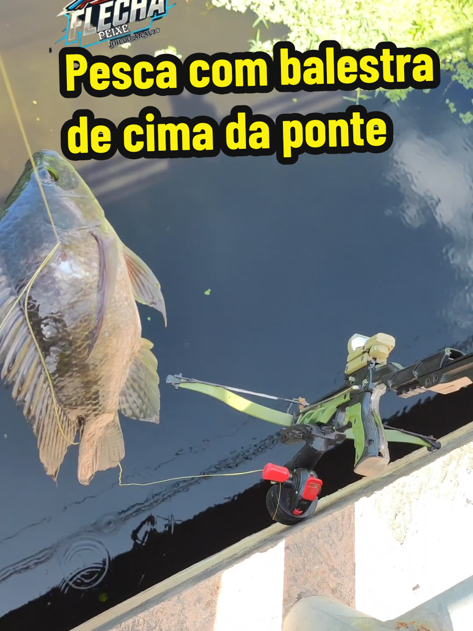 @Joildo Araujo