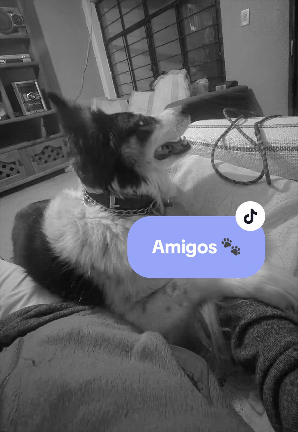 @Antony_13_Family_13