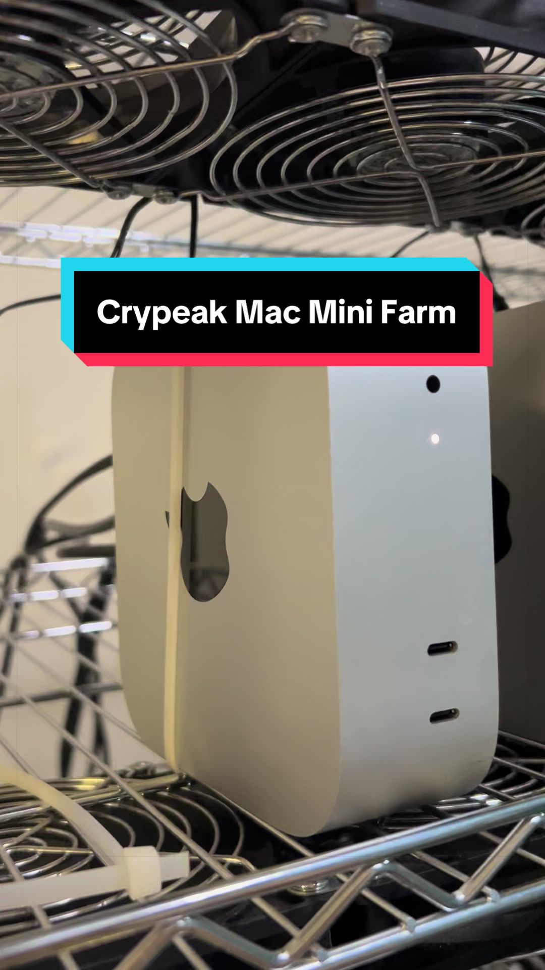 @CryPeak