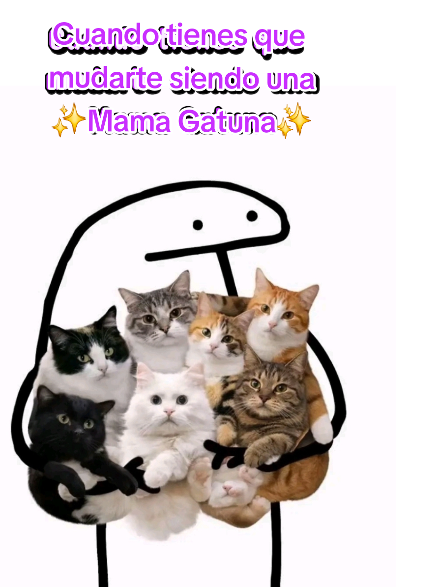 @MichiLovers&reg;