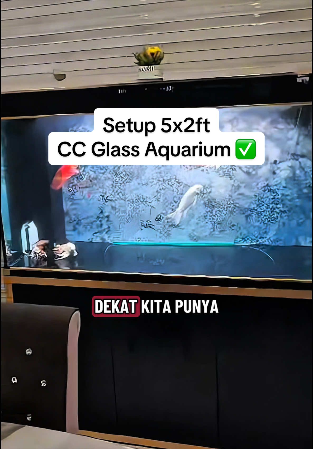 @SuperRedAquaticMelaka