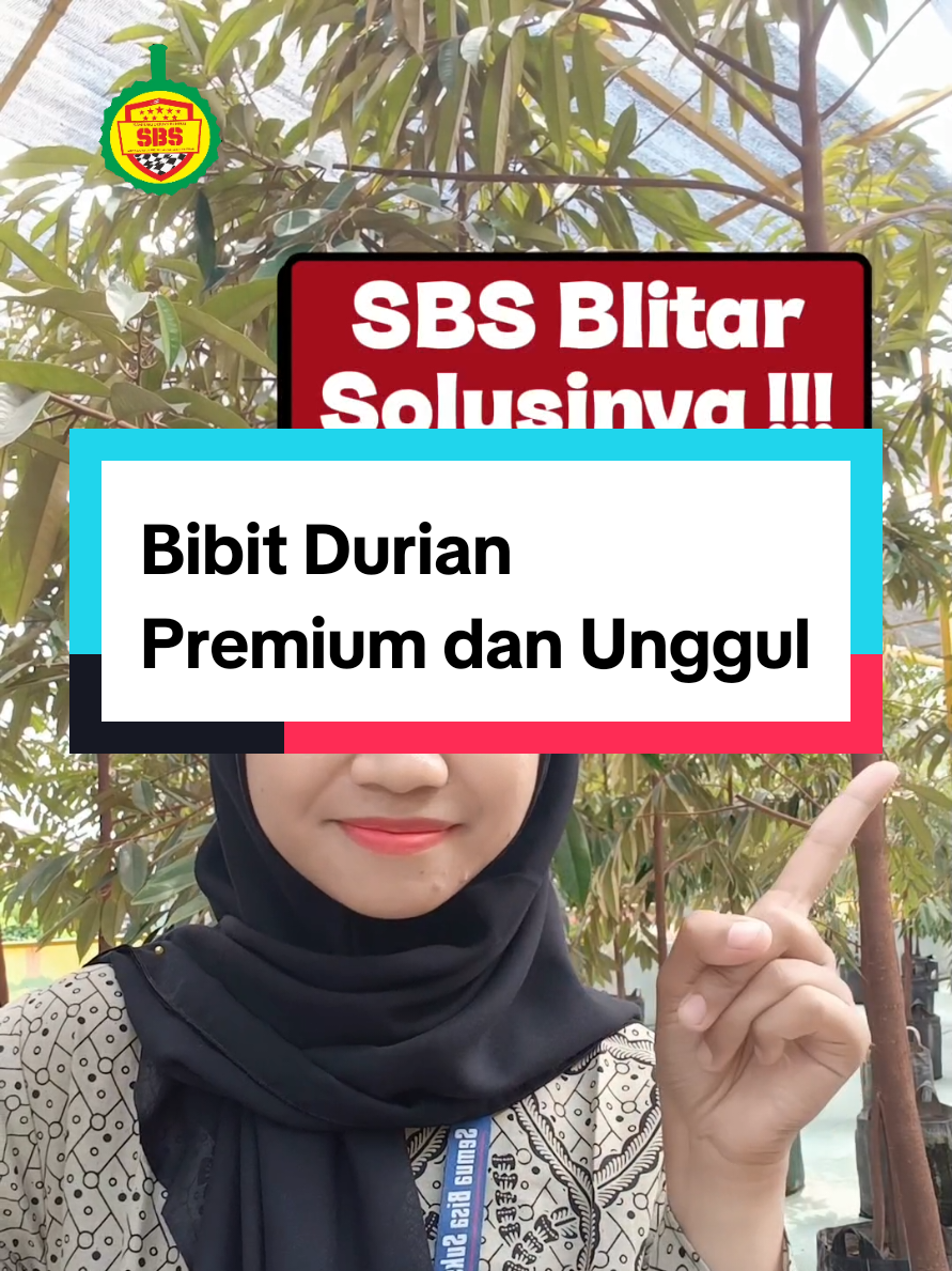 @Produksi Buah_SBS