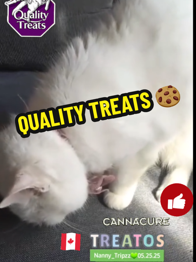 @Susan Doherty 💚💨💨💨