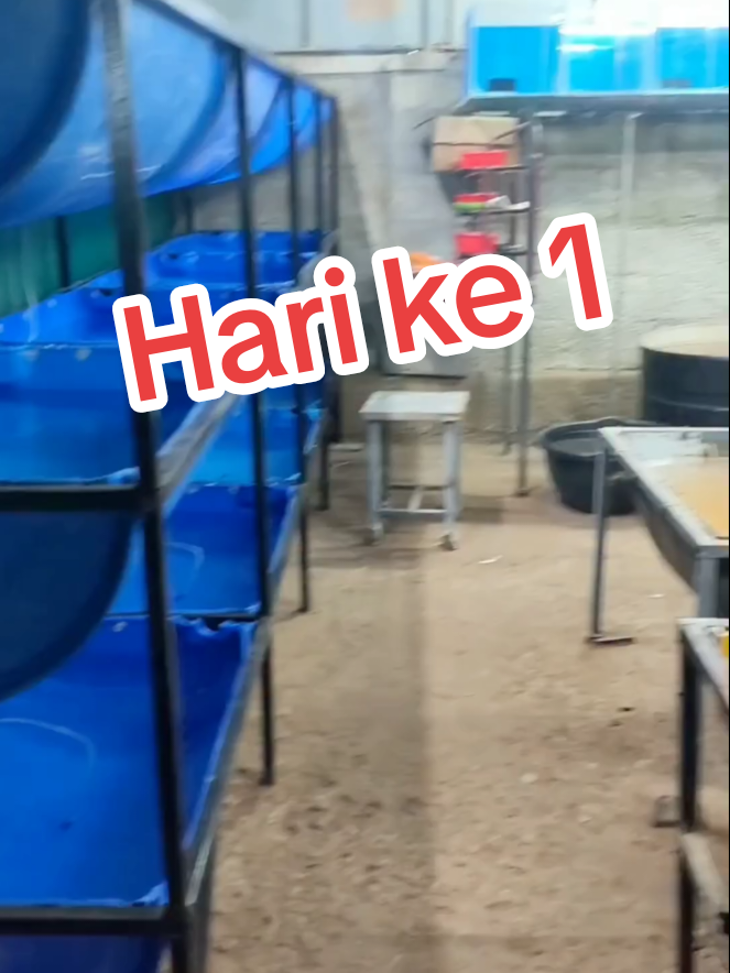 @Wan Aquatic