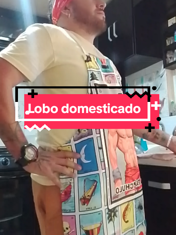 @El extra&ntilde;o mundo de Paf