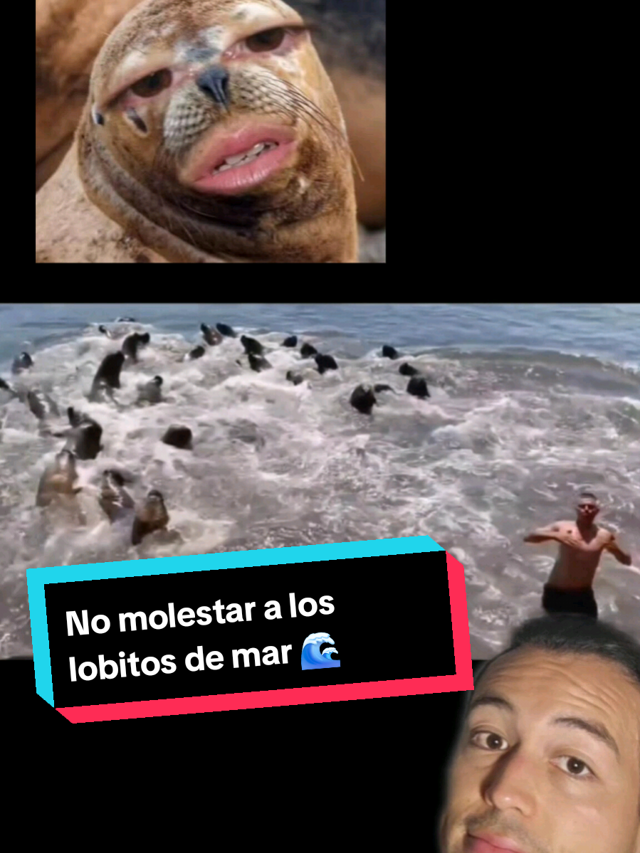 @Nico.olasp 🌊