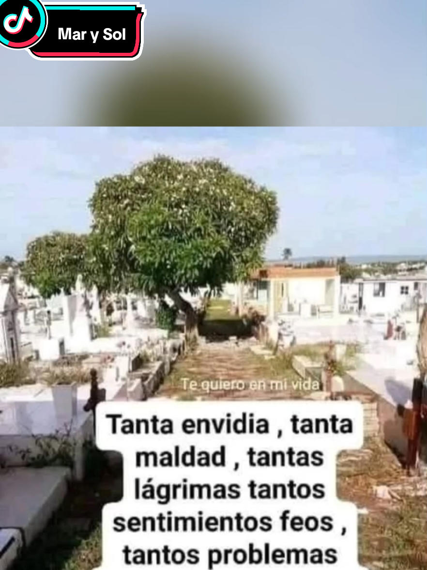 @Mar y Sol