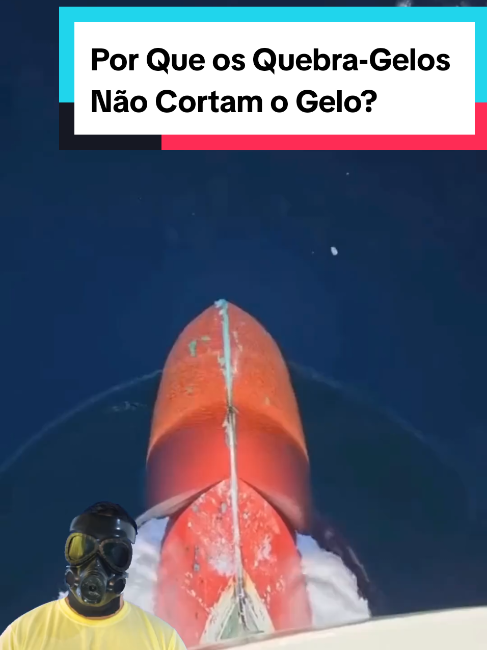 @Mundo da Curiosidades