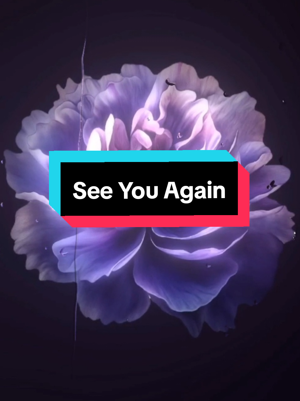 @𝗘𝗶𝘇𝗲𝗻𝗹𝘆𝗿𝗶𝗰𝘀 ☀︎