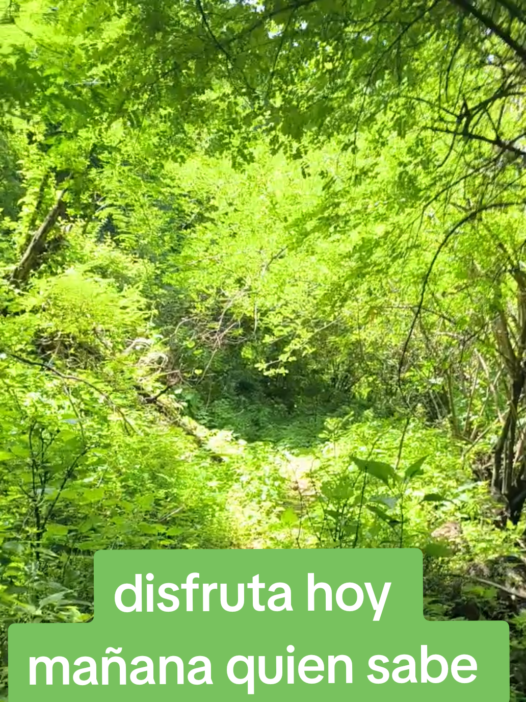 @RA&Uacute;L FL💙