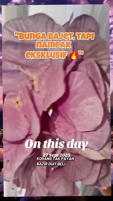 @NORIZARASHID