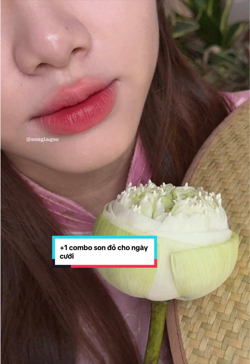 @Son Gi&aacute; Gốc