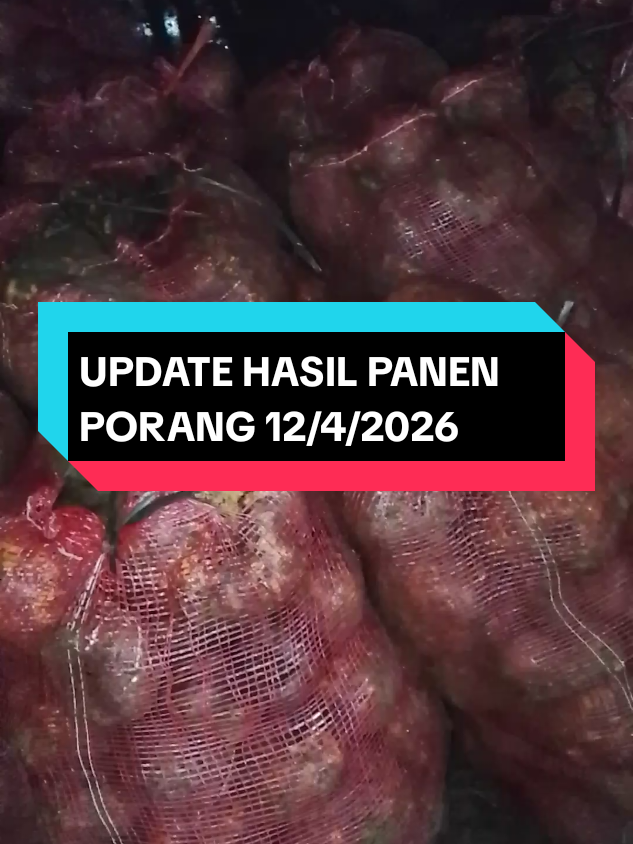 @mujijayaporang