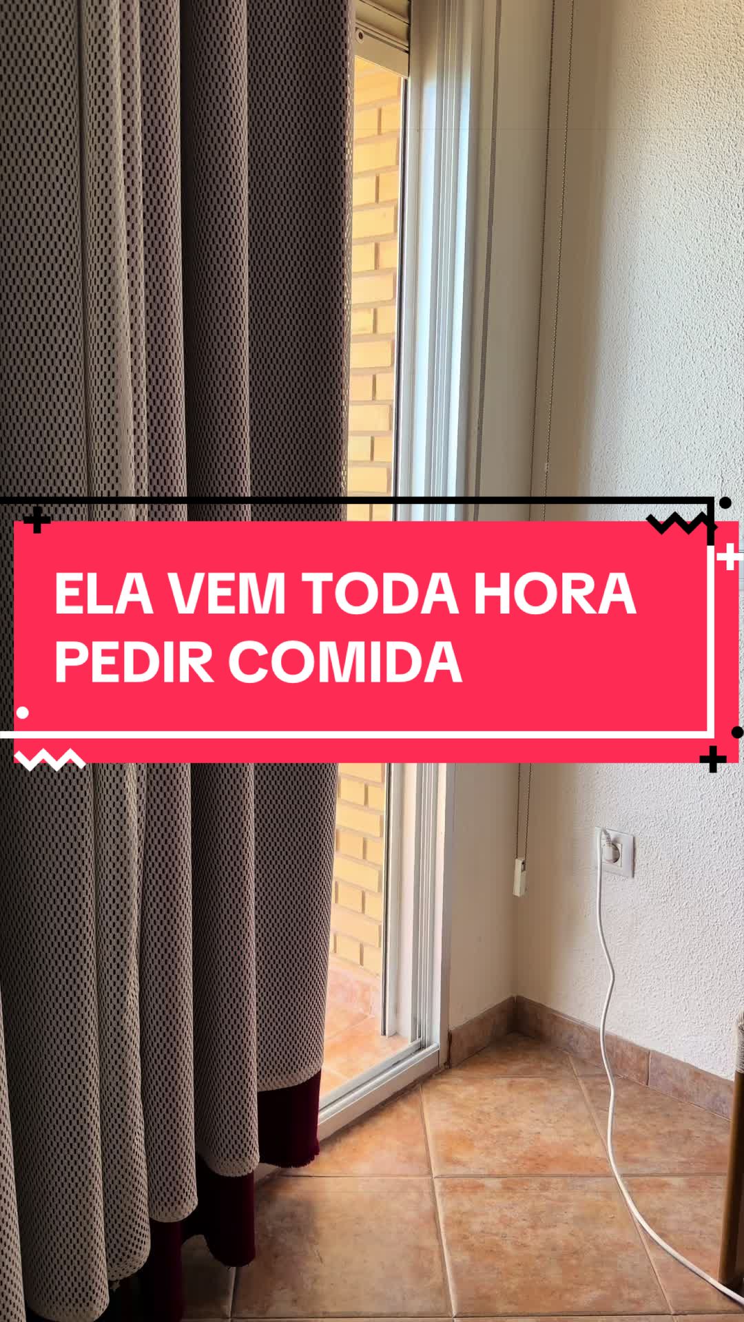 @Shayla Sandes 🇧🇷🇪🇸