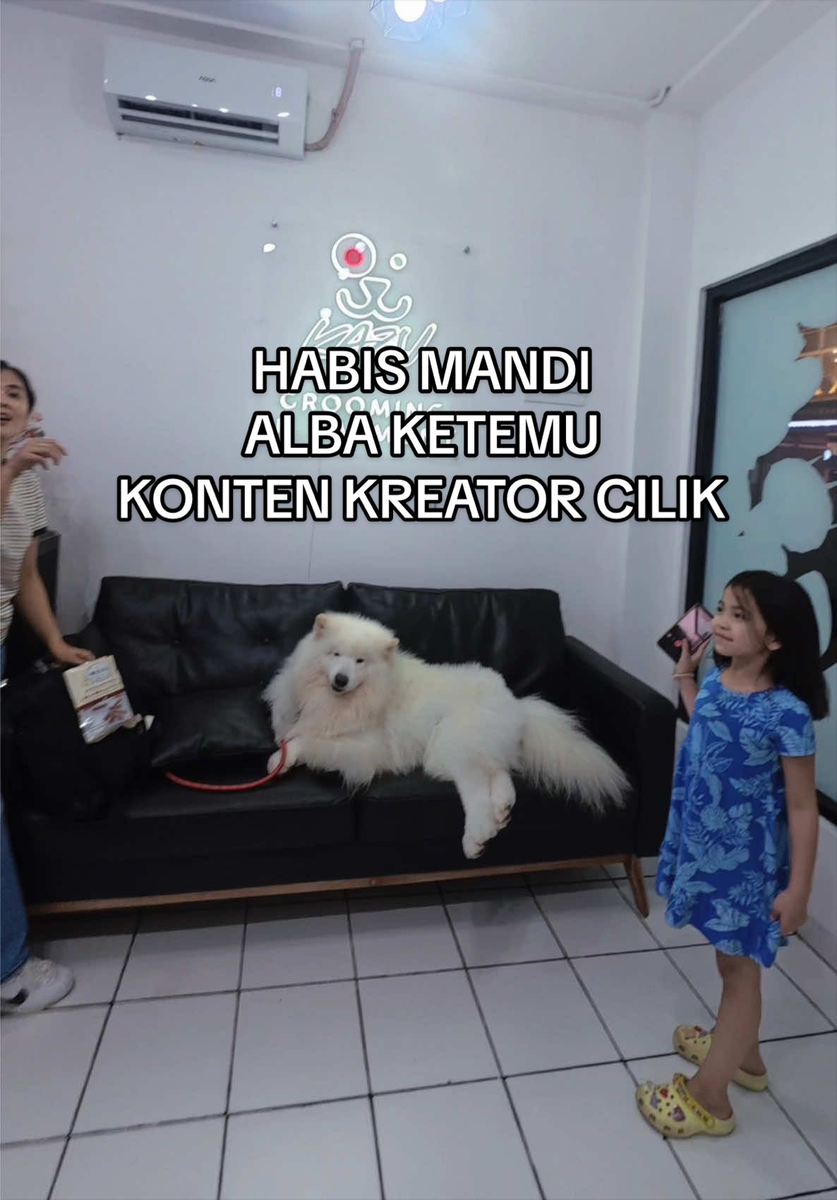 @KAZU