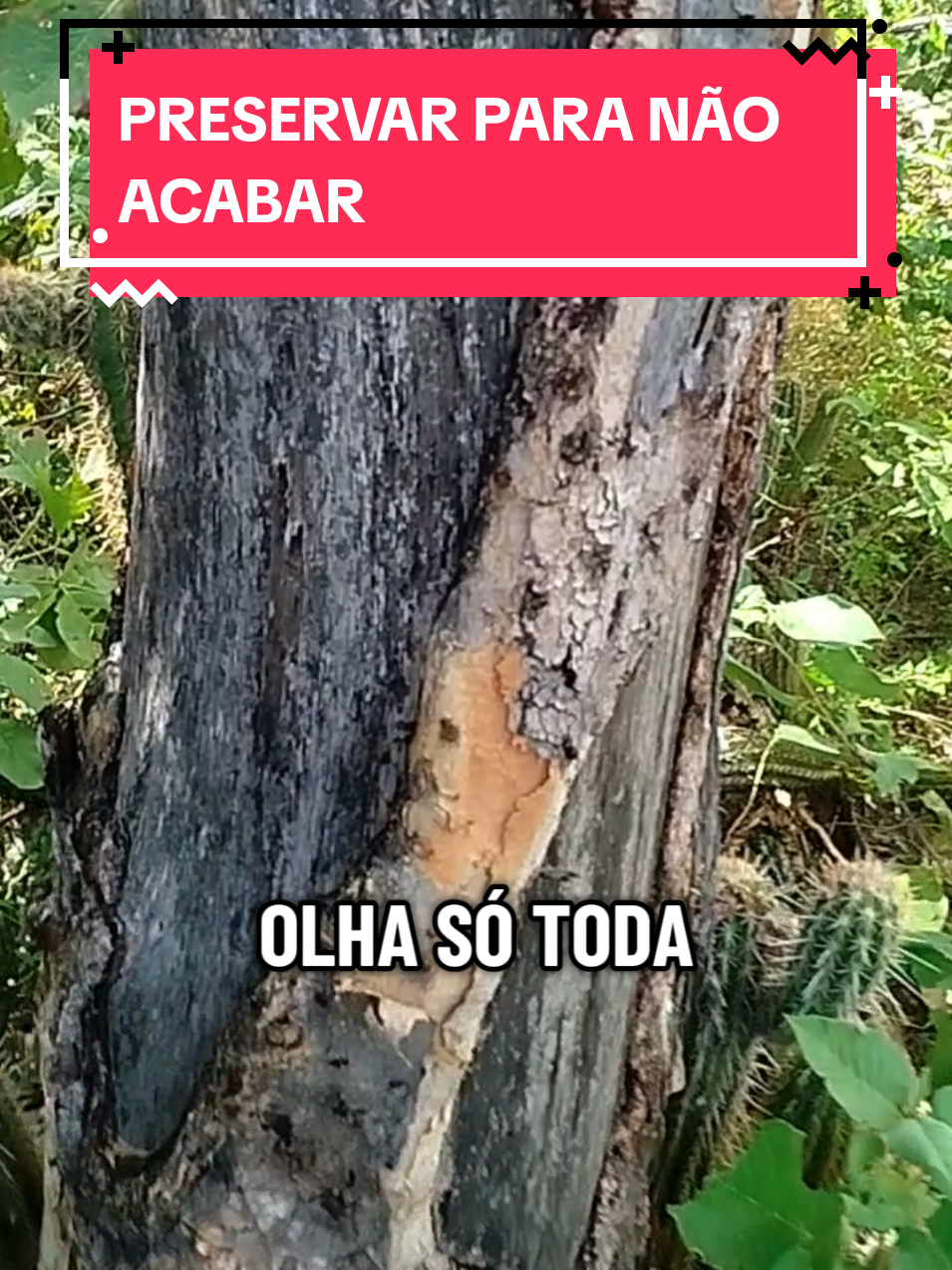 @Adriano Sombra
