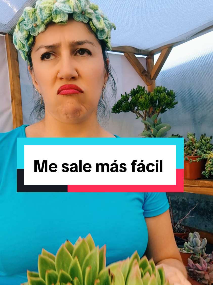@Sucucrochet Artextil 🌵🧶