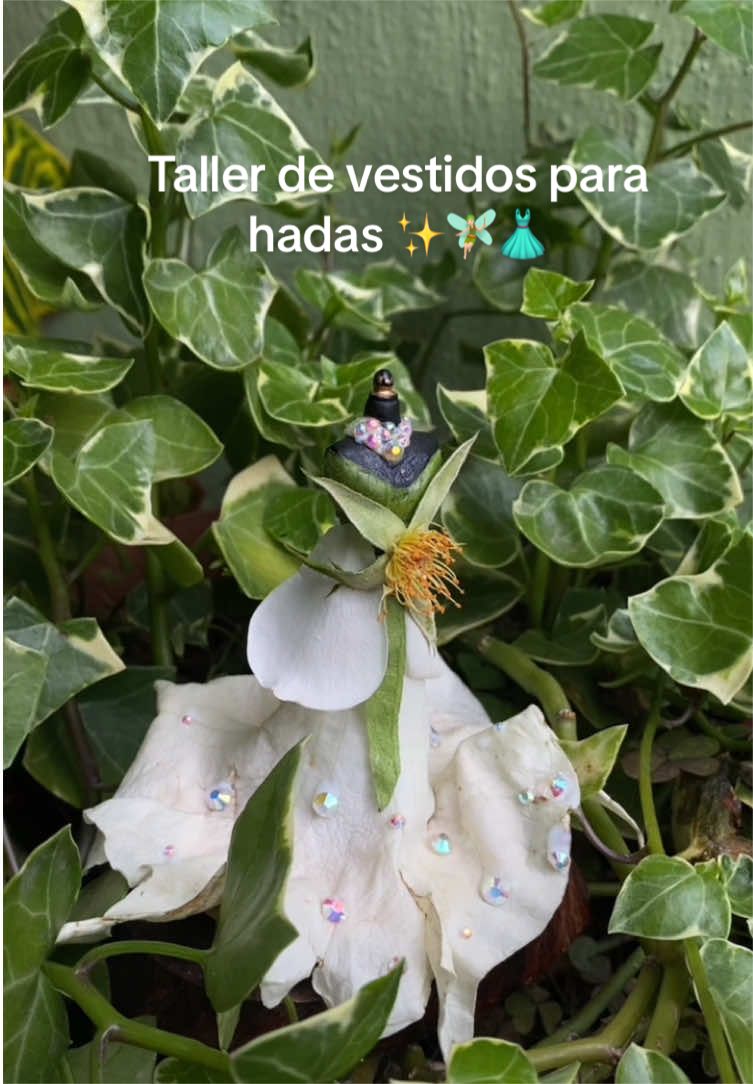 @Mon ASMR