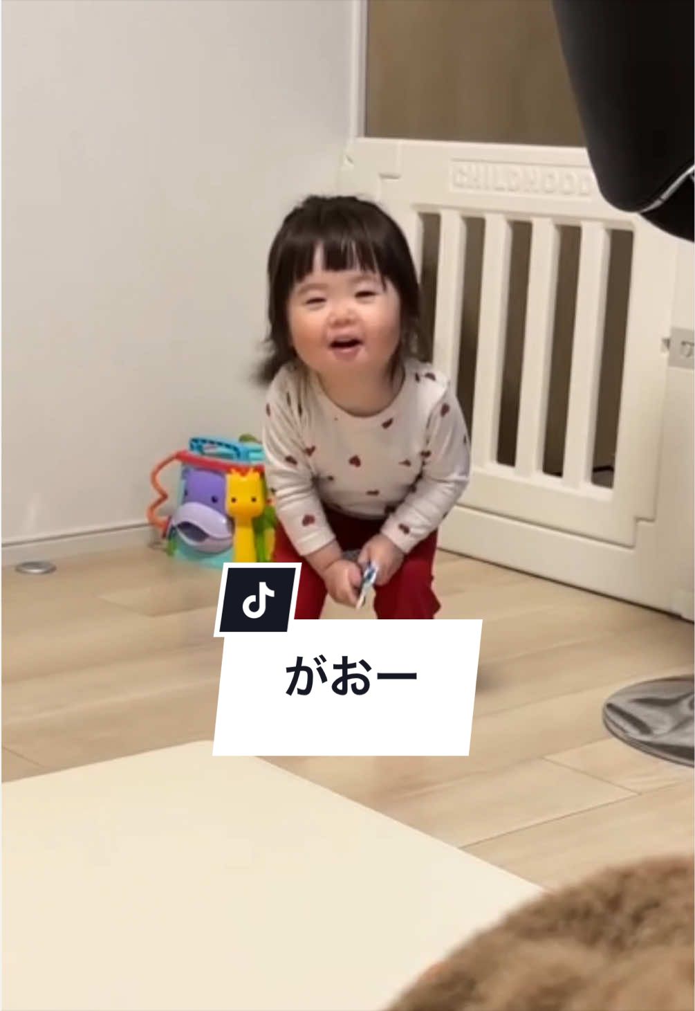 @さらパパ