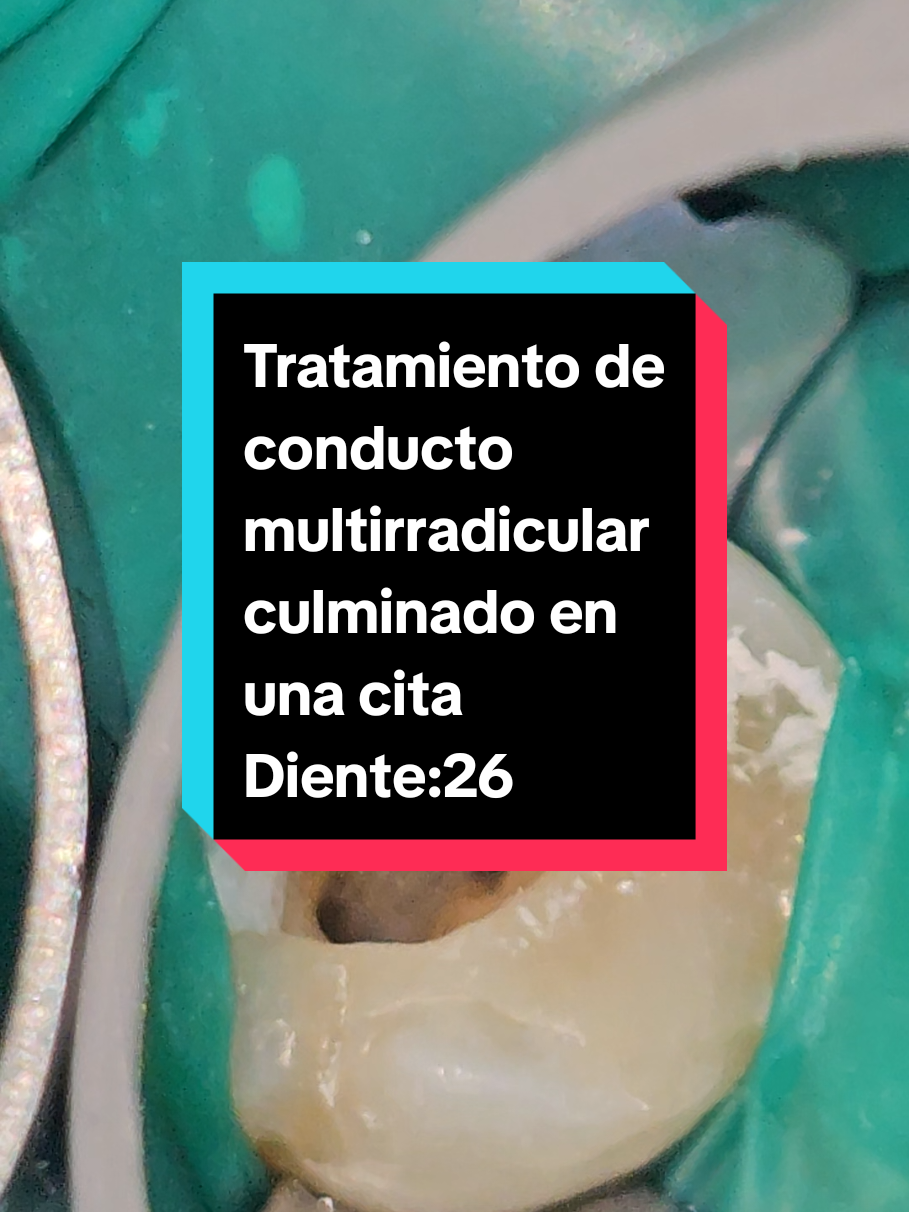 @Norman Rizk |ENDODONCISTA|