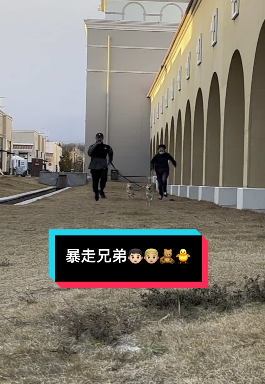 @てんくう