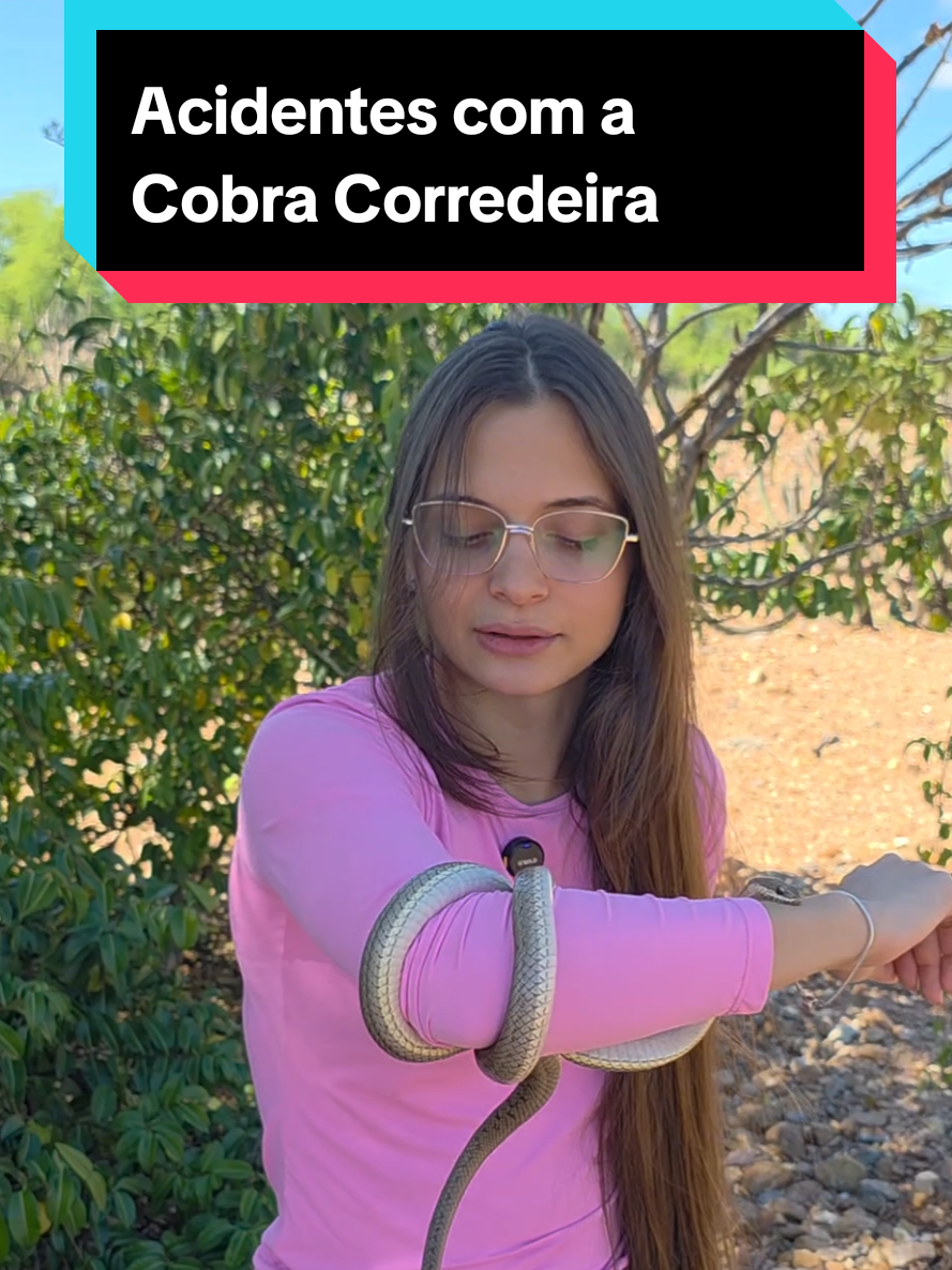@Princesa das Serpentes