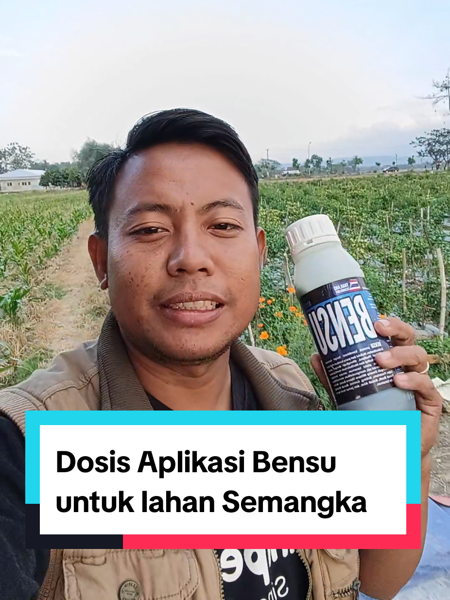 @tanipedia id