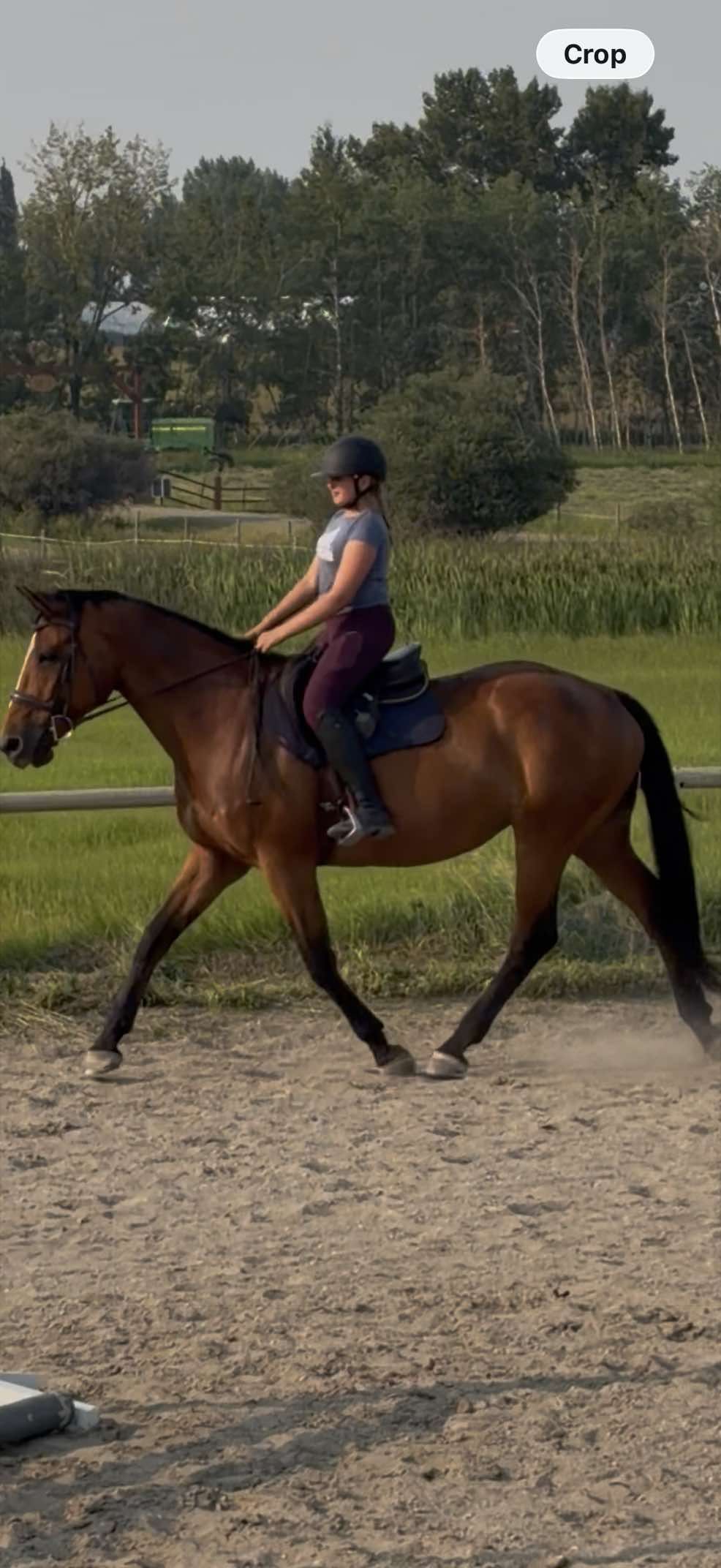 @Kaya_Equine _Molly
