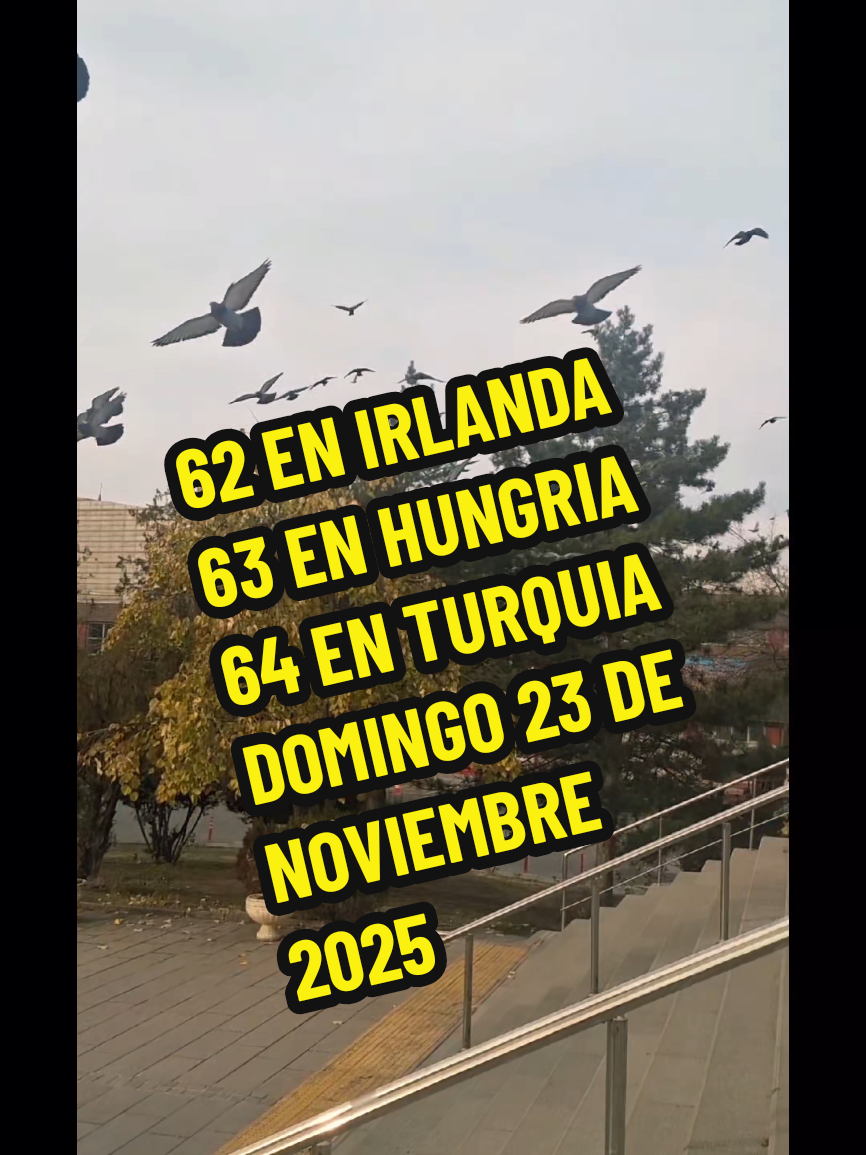 @Un Chileno x el mundo