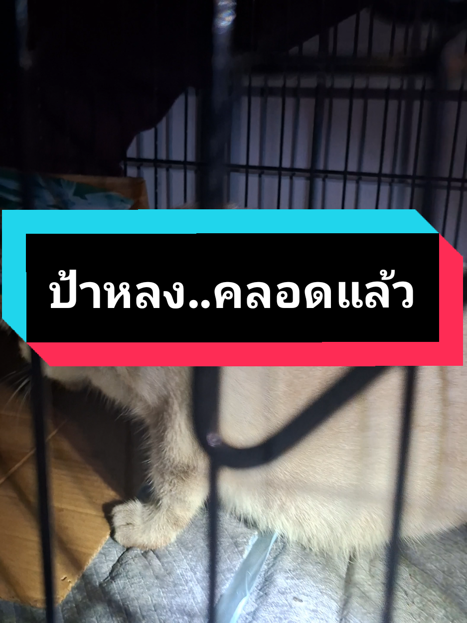 @ฮโหล....สมอง