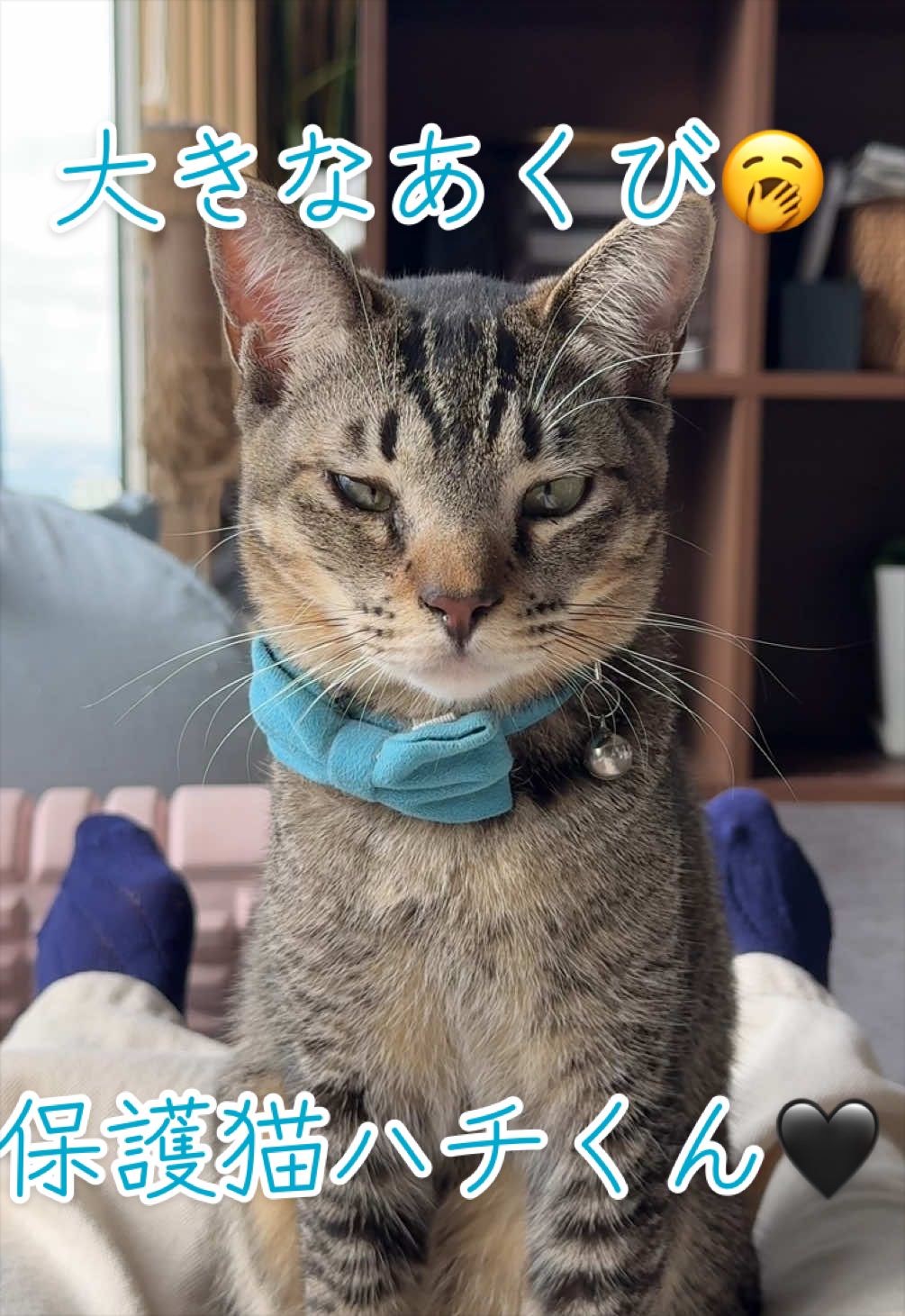 @はっぴー野郎☺︎