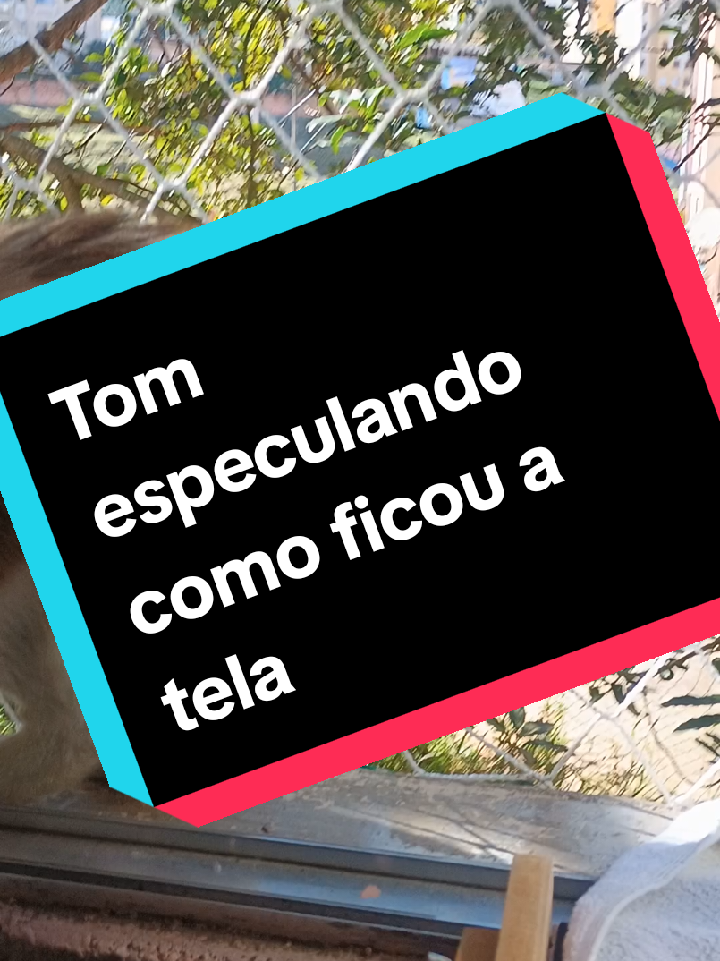 @Edimilson Alves
