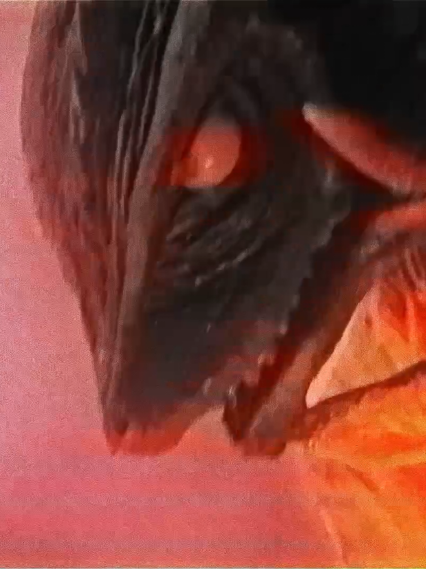 @𝐊𝐮𝐫𝐨𝐭𝐨/𝐃𝐲𝐧𝐚