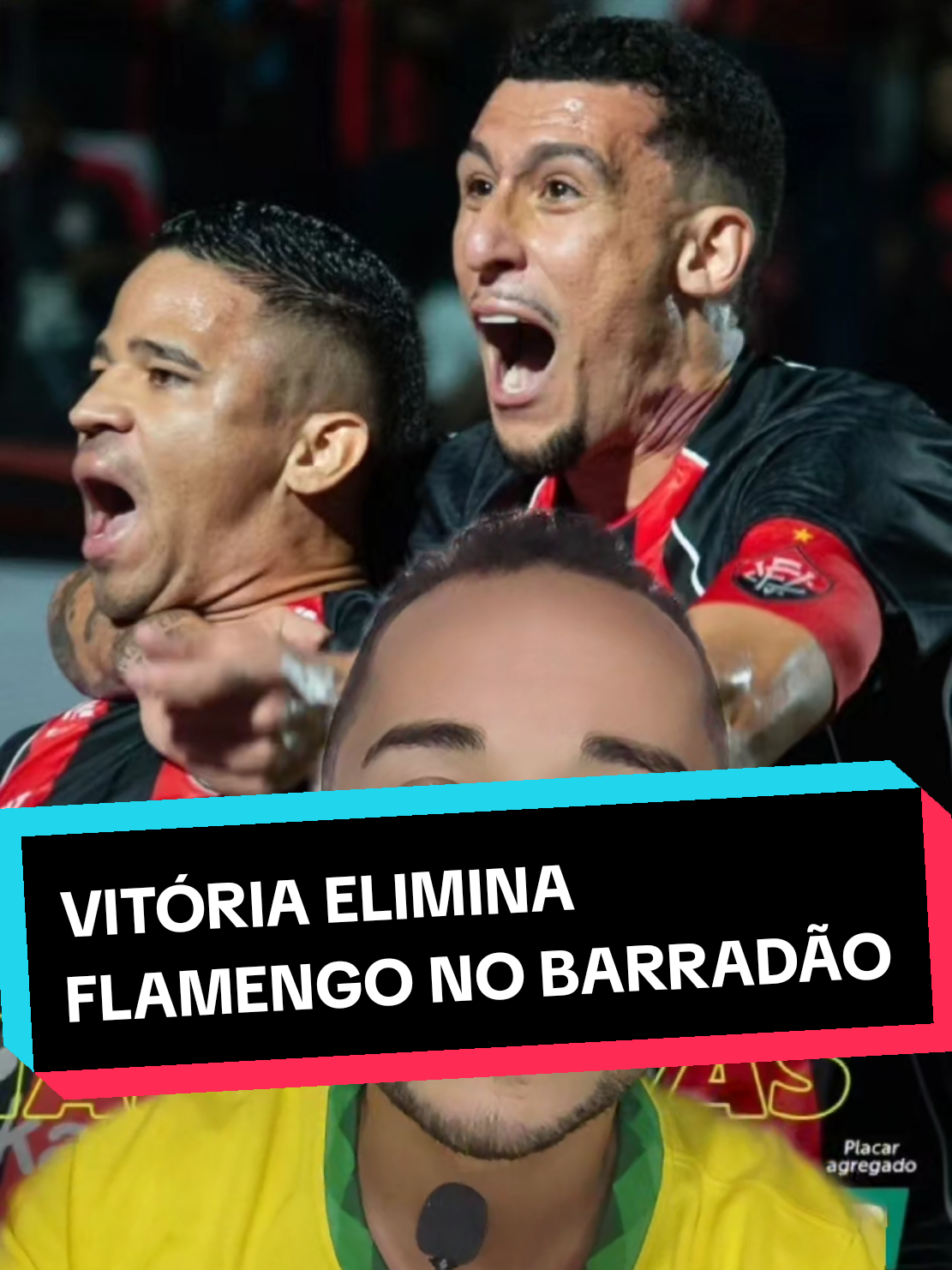@analistaleigo