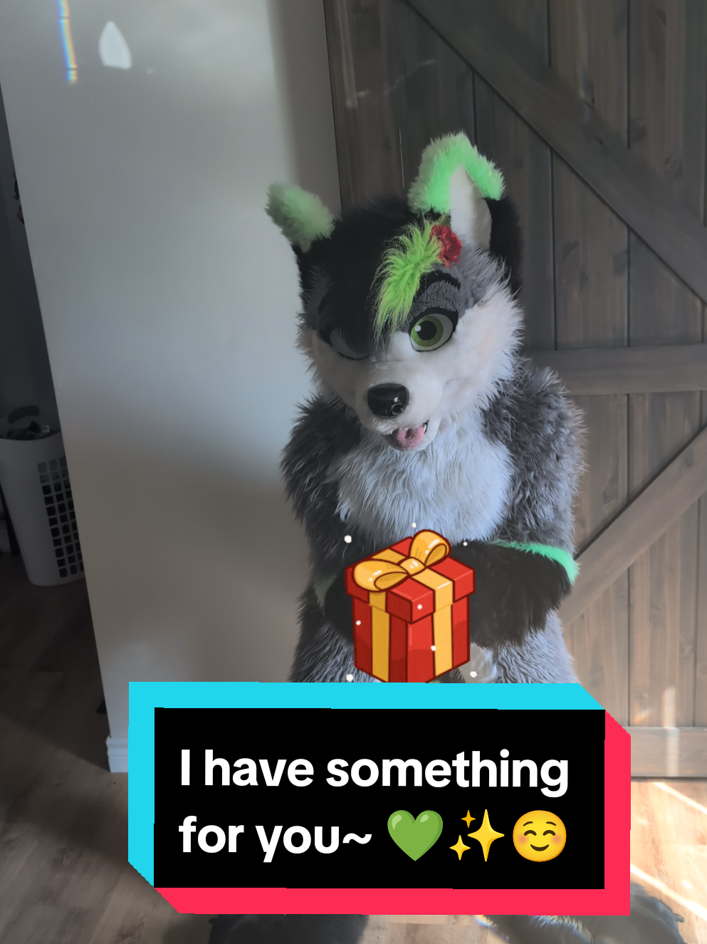 @Firefly Wolfy