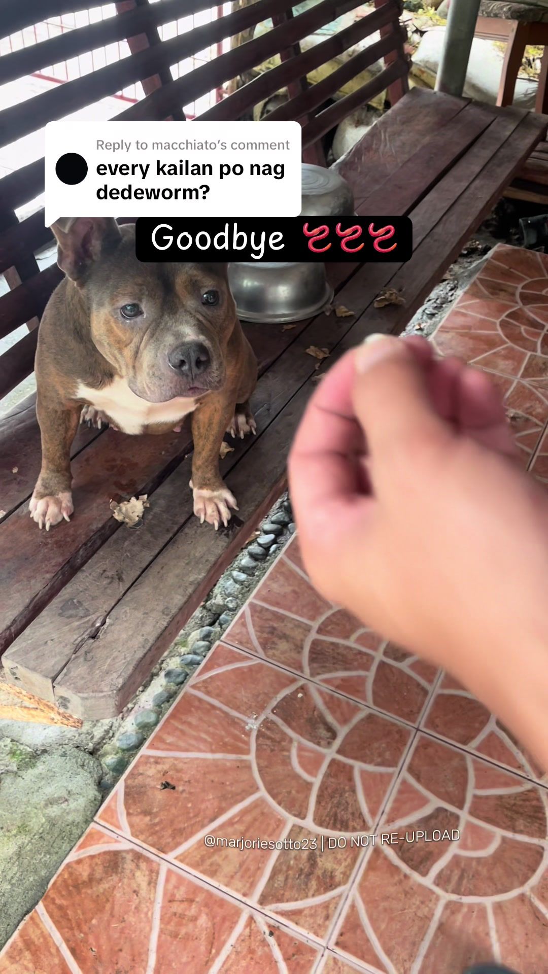@Marjorie Sotto