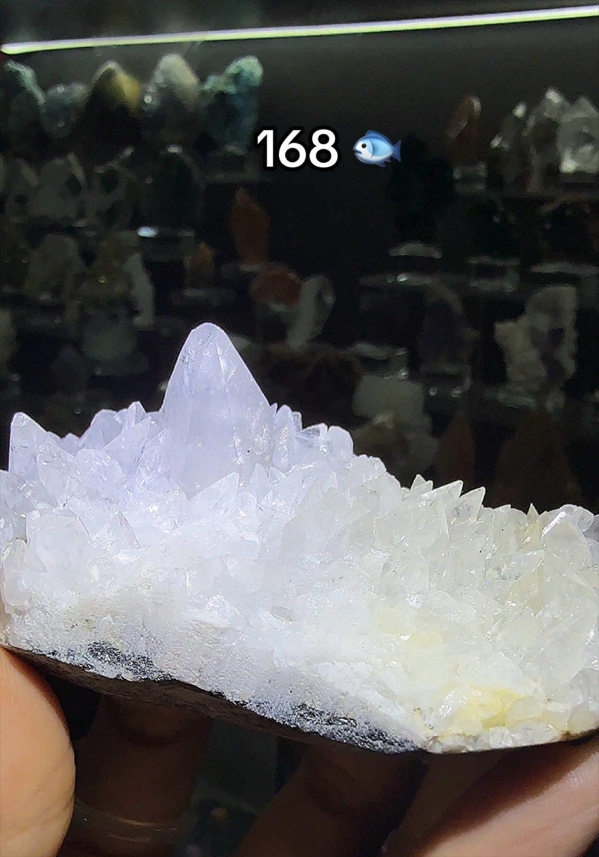 @Halen Crystal
