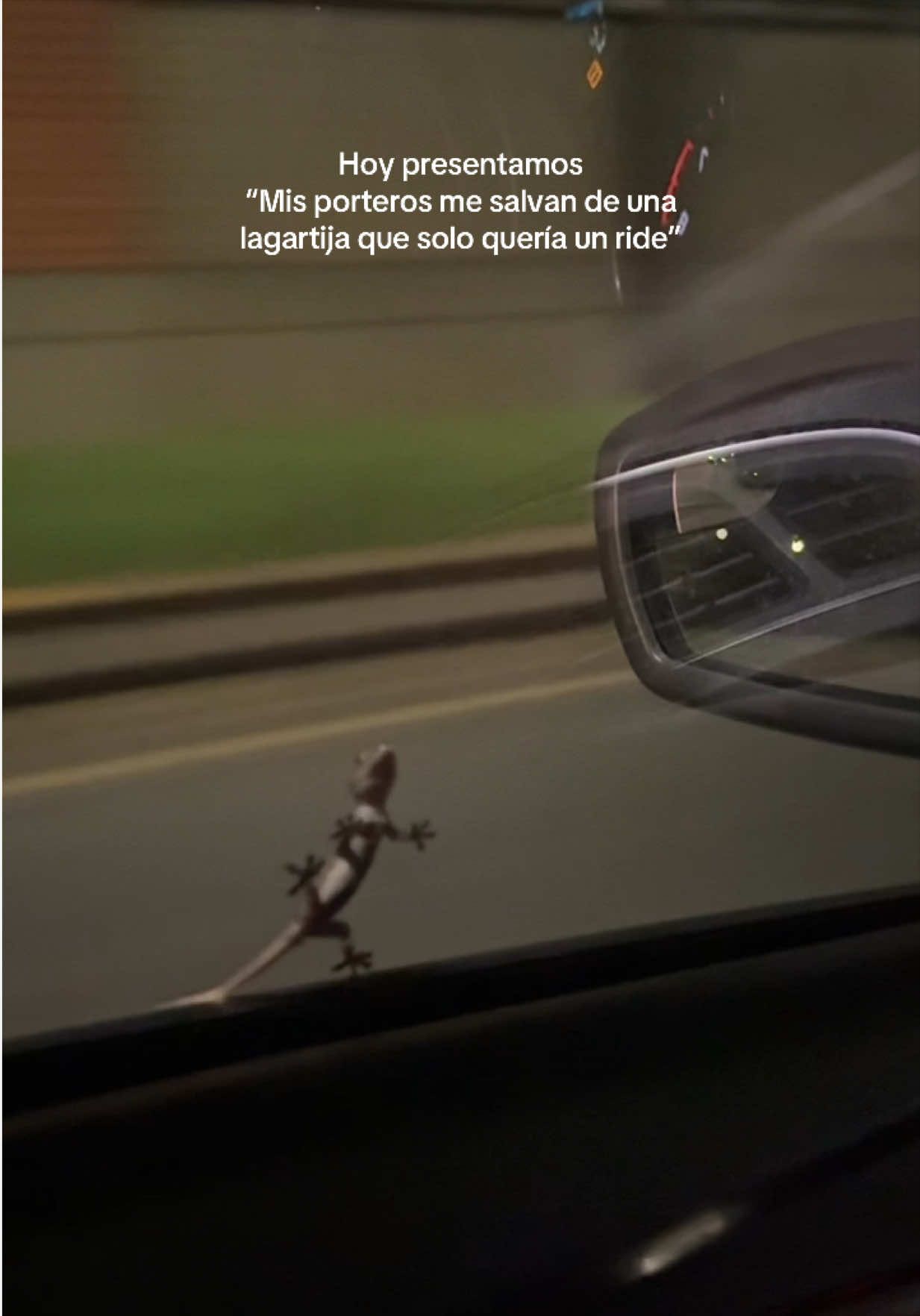 @Alen Lopez Quiros